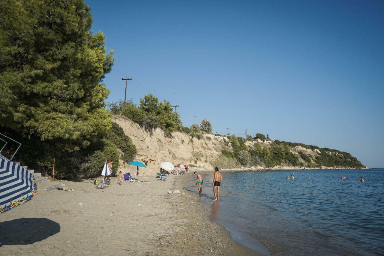 Nektarios Garenias Kipoupoli Villa Nea Kallikrateia Exterior foto